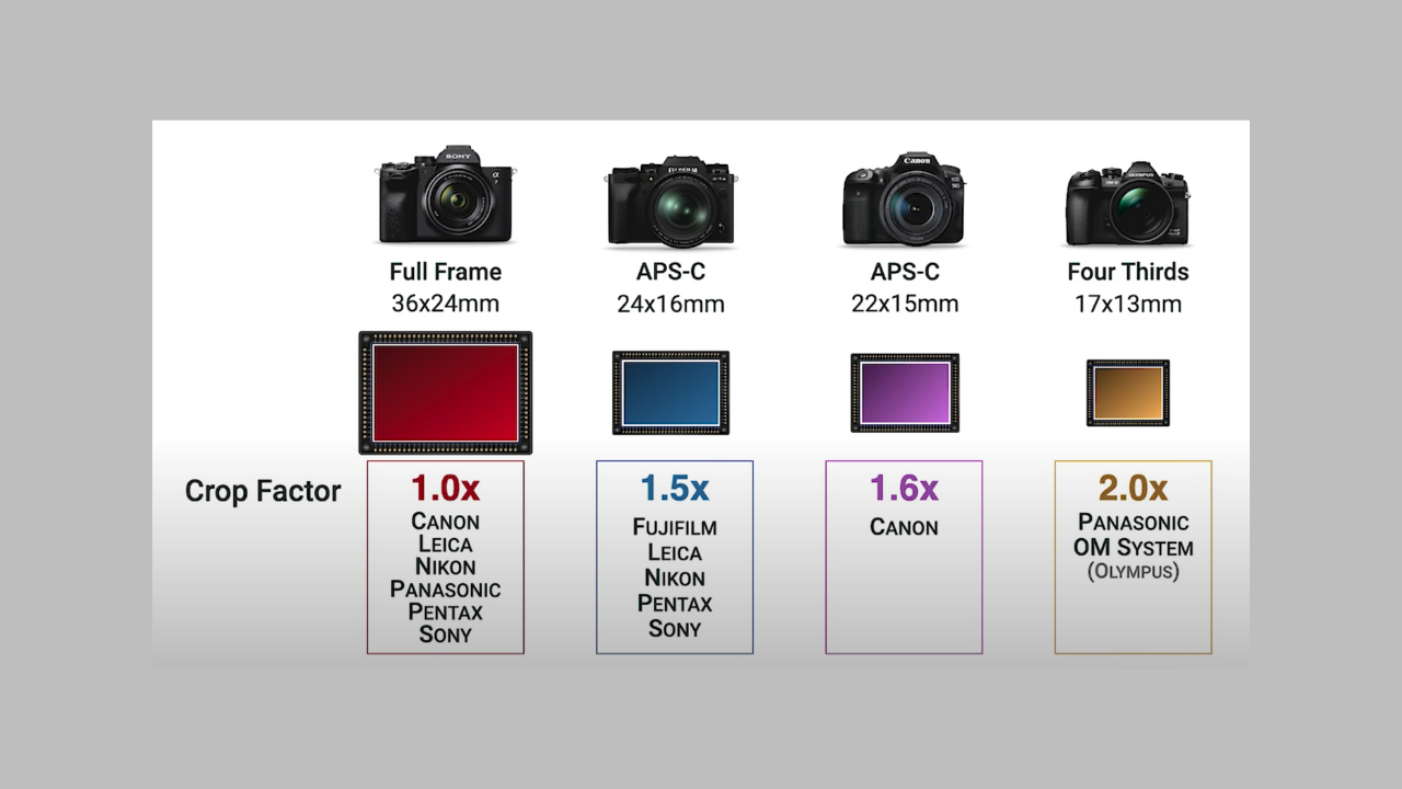 Co wpływa na crop factor w aparacie?