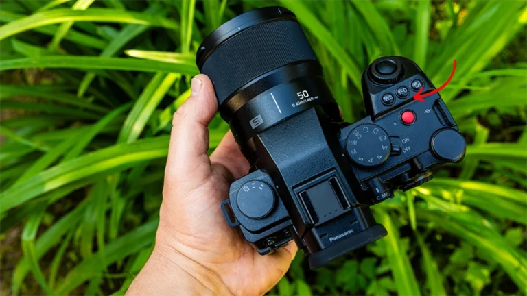 ISO w fotografii ustawienia